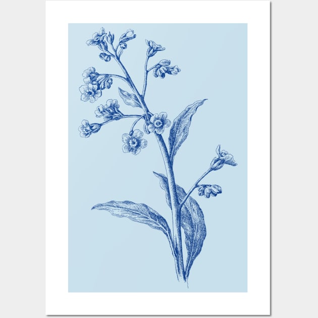 Forget-me-nots Blue Flower Botanical Illustration Wall Art by Biophilia